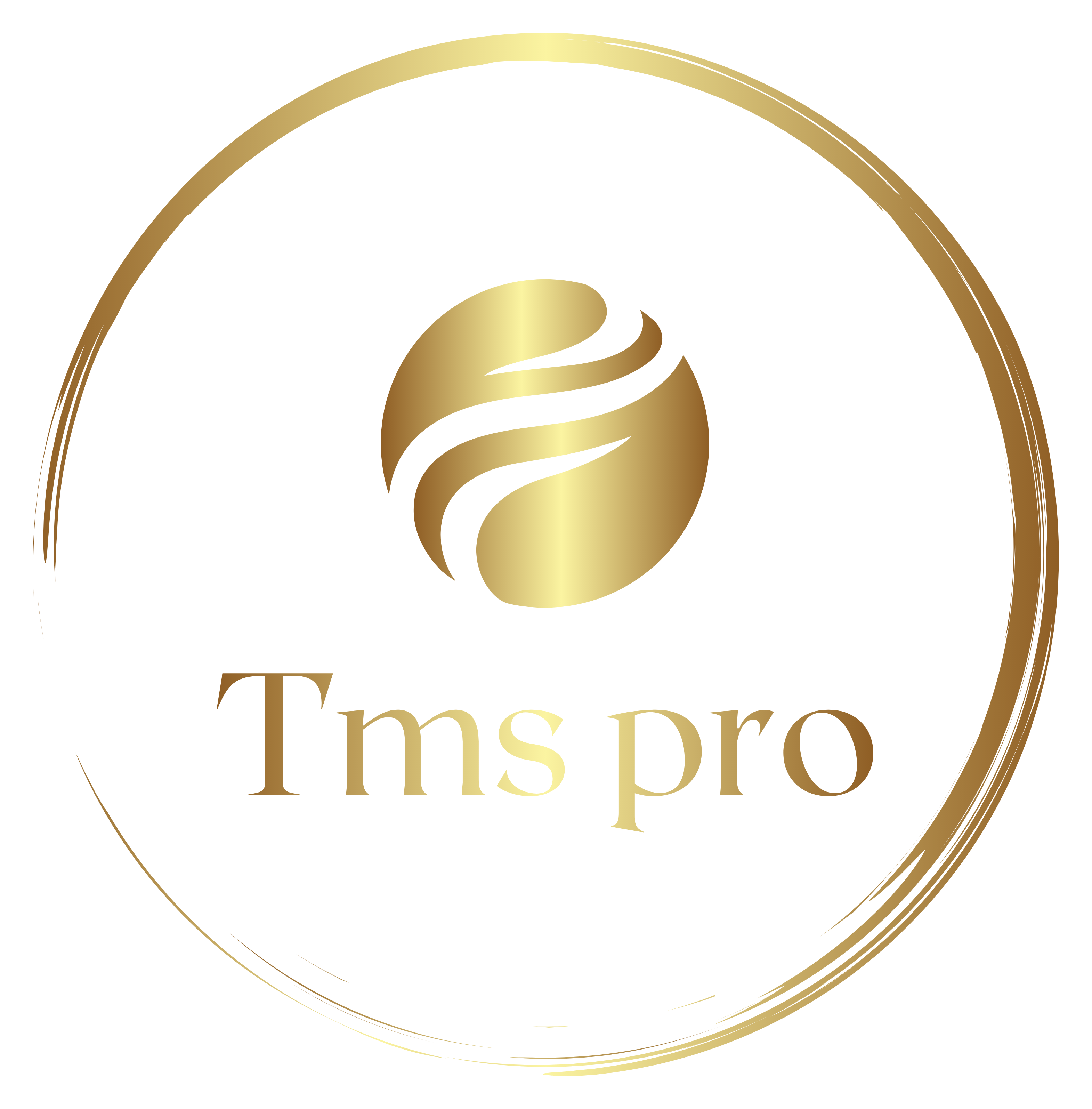 TMS PRO